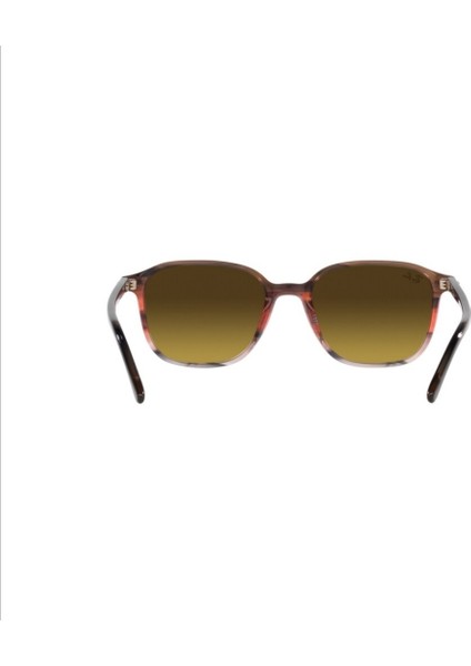 Rayban Rb 2193(LEONARD)1380/85 53 Güneş Gözlüğü fırsatları