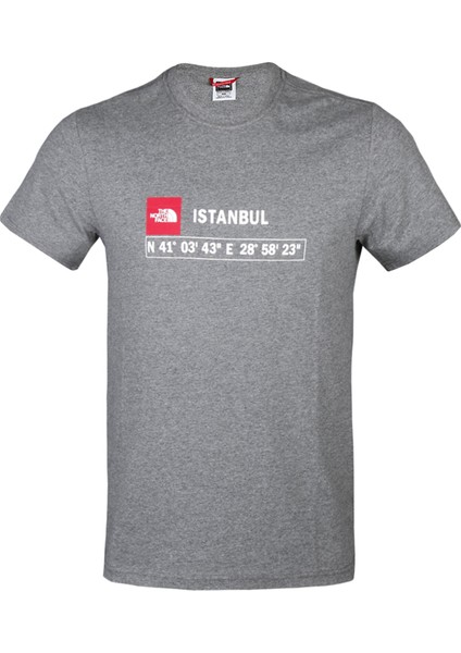 M Gps Tee Istanbul Rec Erkek Günlük Tişört NF0A7ZC2DYY1 Gri
