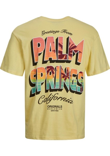 Jorgreetings Tee Ss Crew Neck Tg Erkek T-Shirt fırsatları