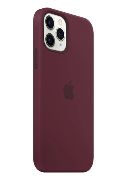 iPhone 13 Pro Lansman Kılıf Logolu Silikon Kılıf