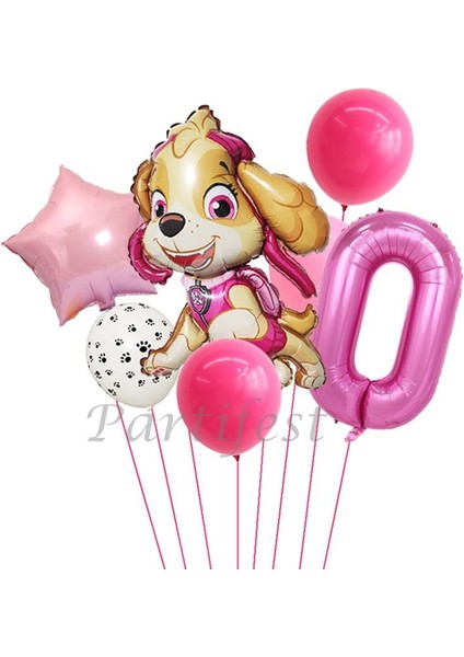 Paw Petrol Folyo Set Paw Patrol Skye Balon Set Konsept Doğum Günü Set Yaş Balon Set