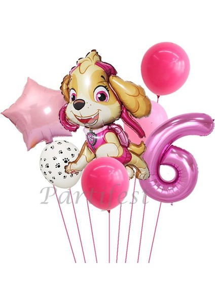 Paw Petrol Folyo Set Paw Patrol Skye Balon Set Konsept Doğum Günü Set Yaş Balon Set