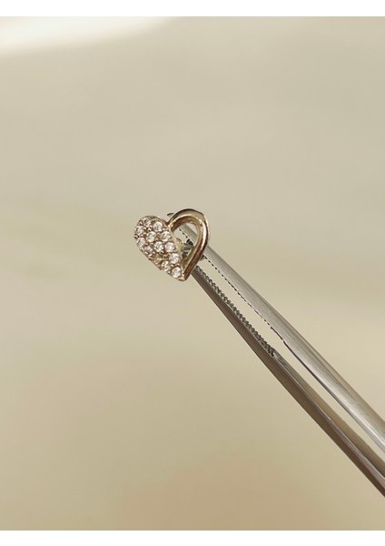Çelik Kıkırdak Helix Tragus Piercing (4ADET)