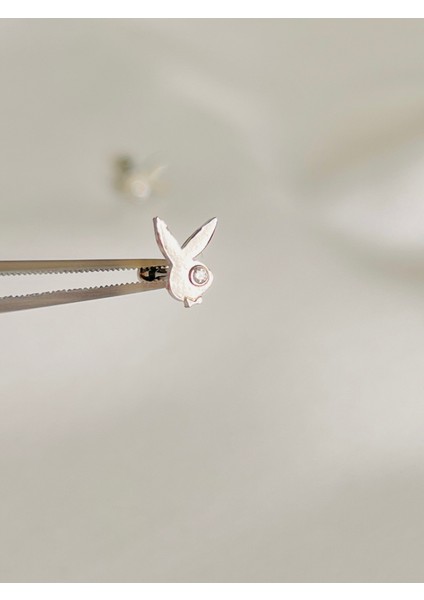 Çelik Kıkırdak Helix Tragus Piercing (1ADET)