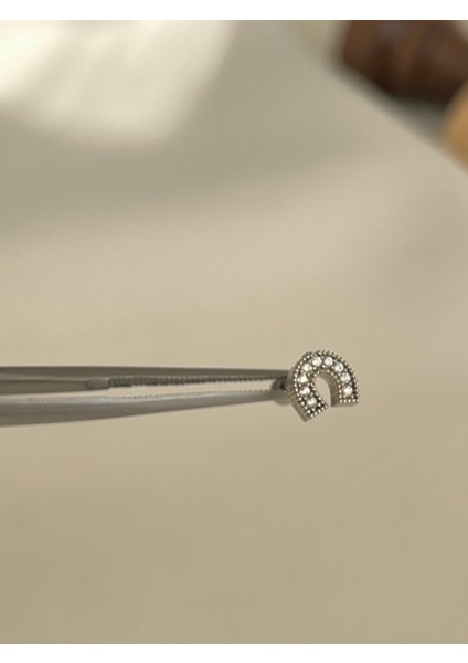 Çelik Nal 🧲 Figürlü Kıkırdak Helix Tragus Piercing (1ADET)