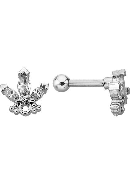 Çelik Kıkırdak Helix ,tragus Piercing