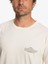 Quik Words Erkek T-shirt EQYZT07263 5
