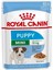 Mini Puppy Yaş Köpek Maması 85 gr X6 1