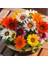 10 Adet Karışık Renk Gazania Flower Çiçeği Tohumu + 10 Adet K.renk Dahlia Çiçek Tohumu 1