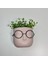 Profesör Saksılar Yapay Çimli Sukulent Gözlüklü Saksı 1