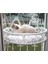 Kedi Cam Yatağı & Vantuzu Cam Yatağı & Kedi Yatağı & Kedi Cam Yatağı 3