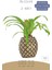 Çiçek Saksısı Büyük Boy 2 Adet Altın Renk Eskitme Uygulamalı Ananas Model 2