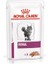 Renal Kedi Maması 2 kg 1