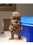 Star Wars Mini Chewbacca Boyalı Figür 15 cm 2