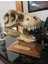 T-Rex Kafatası Figür 20 cm 1