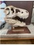 T-Rex Kafatası Figür 20 cm 2