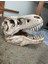 T-Rex Kafatası Figür 20 cm 3