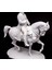 Napolyon Bonapart Fransız Imparatoru Napoleon Bonaparte Figür 20 cm (Büyük Boy) 2