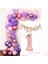 Balon Zincir Set 1