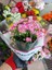 20 Adet Kalanchoe Kalanşo Fidesi Karışık Renkli 1