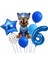 Paw Petrol Pav Petrol Polis Köpek Chase Yaş Balon Konsept Doğum Günü Set Yaş Balon Set 1
