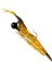 Bond Soft Shrimp D 9 cm Silikon Karides Yem 2