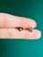 Çelik Siyah Taşlı Çiçek Model Tragus Kıkırdak Helix PIERCING(1ADET) 5