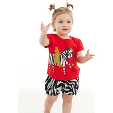 Denokids Balerin Zebra Kız Bebek T-Shirt Poplin Şort Takım