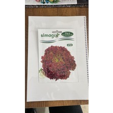 Simagro Marul Kırmızı Kıvırcık