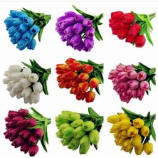 10'lu 10 Farklı Renk Mix Tulip Seed Lale Tohumu + 10'lu Kırmızı Antoryum Çiçek Tohumu