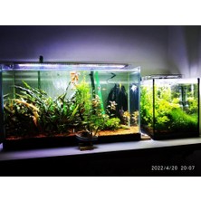 AquaLed PLANT Full Spectrum 4 Renk Akvaryum Aydınlatma 130 CM