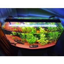 AquaLed PLANT Full Spectrum 4 Renk Akvaryum Aydınlatma 120 CM