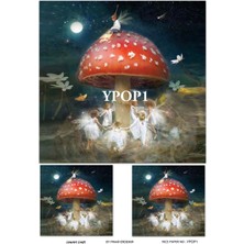 Lineart Op1 Mantar ve Peri Desenli Kendinden Yapışkanlı Pirinç Dekopaj 29*42