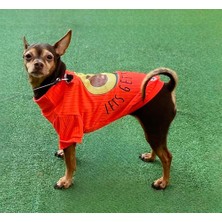 Miniş Avocado Neon Turuncu Esnek Küçük Irk Köpek T-shirtü (1 kg-12 kg arasına uygun bedenlerde)