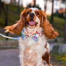 Lusi Doog Köpek Gezdirme Kayışı Çiçek Desenli (2 Beden)