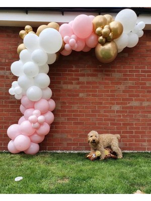 Eğlence Marketi Krom Gold Makaron Pembe ve Beyaz Balon Zinciri 100 Adet