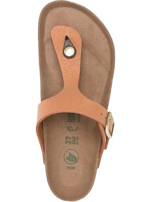 Birkenstock Gızeh Bfbc Earthy Veg Terlik