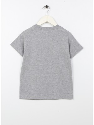 Limon T-Shirt Gri Melanj