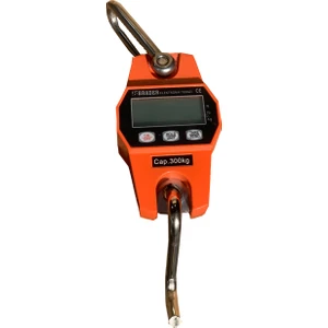 Elektronik 300 kg Askılı Terazi - Vinç Kantarı