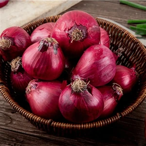 Çermik Fidancılık Kırmızı Kuru Soğan Tohumu 10 gr