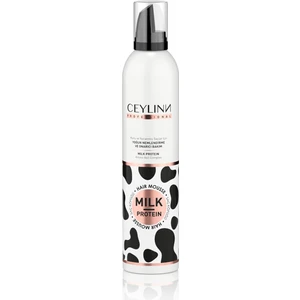 Milk Protein Saç Köpüğü 300 ml