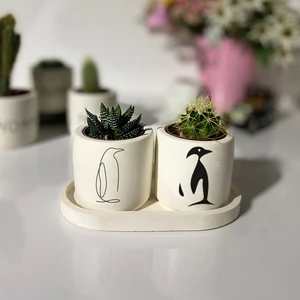Dekozayn Home Tabaklı Penguen El Çizimi Dekoratif Kalemlik ve Ya Saksı Seti (Çiçeksiz)
