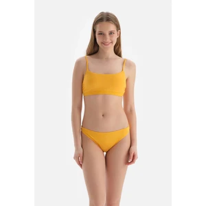 Sarı Bralet