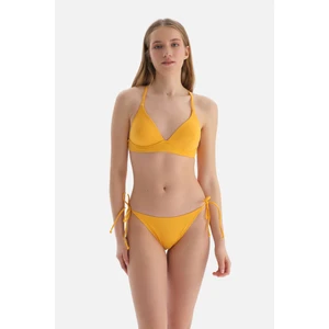 Sarı Bralet