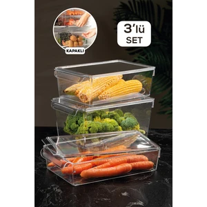 Meleni Home 3'Lü Kapaklı Buzdolabı Düzenleyici Buzdolabı Içi Düzenleyici Organizer Slim Maxi Mega