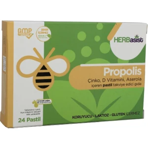 Propolis 24 Pastil