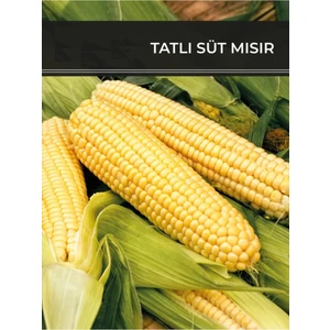 Çermik Fidancılık Sarı Mısır Süt Mısır Tohumu 25 gr