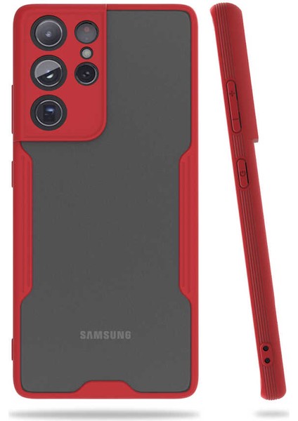 Samsung Galaxy S21 Ultra Kılıf Kamera Korumalı Ultra Ince Buzlu Mat Renkli Silikon Kapak(Parfe)