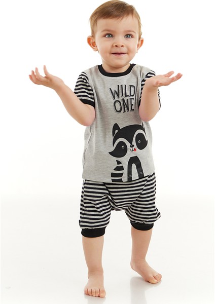 Rakun Erkek Bebek T-shirt Kapri Şort Takım