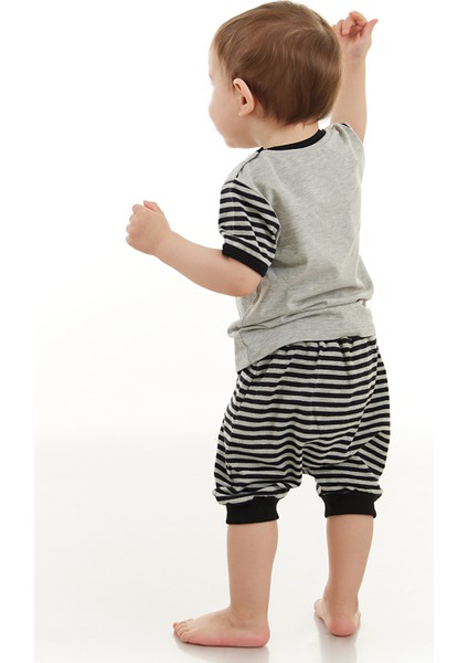 Rakun Erkek Bebek T-shirt Kapri Şort Takım fiyatları